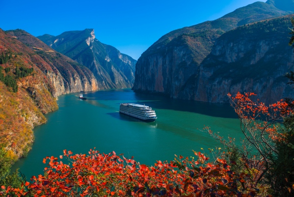 夔門紅葉。王傳貴攝