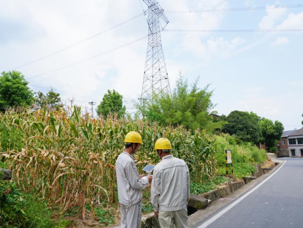 8月5日，國網(wǎng)重慶綦江供電公司員工正使用無人機開展線路巡視工作。袁巧攝