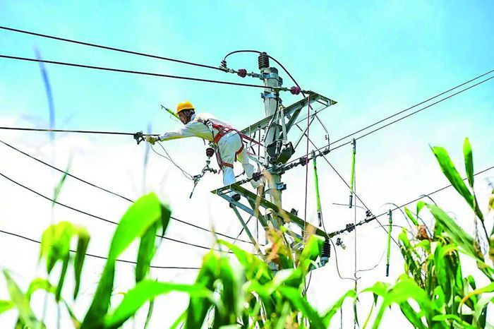 國(guó)網(wǎng)重慶墊江供電公司員工在10千伏周新線開展線路絕緣化改造