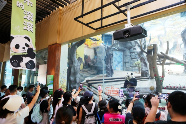 生日會現(xiàn)場，游客紛紛舉起手機、相機拍照記錄國寶軟萌瞬間。陳仕川攝