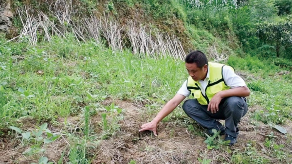 勝地社區(qū)3組網(wǎng)格員向業(yè)勤開展雨后地災(zāi)巡查。汪艷虹攝