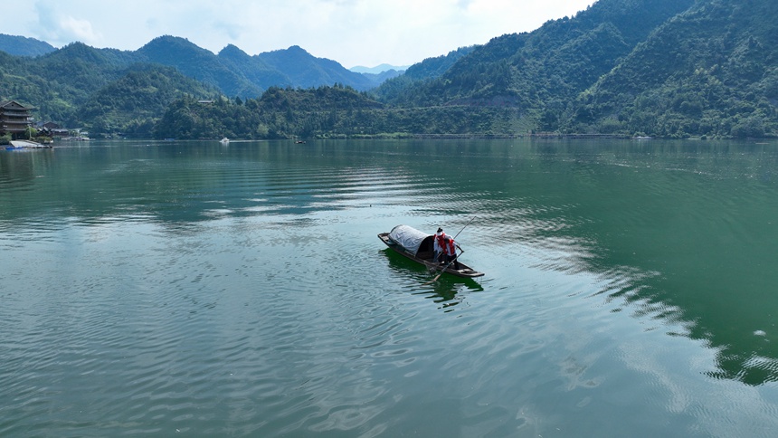 “河小青”志愿者們正在酉水河清漂。邱洪斌攝