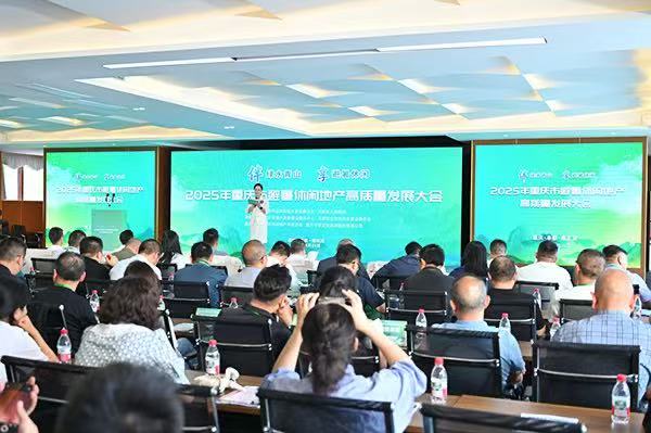 2025年重慶市避暑休閑地產(chǎn)高質(zhì)量發(fā)展大會在豐都縣南天湖舉行。林心雨攝