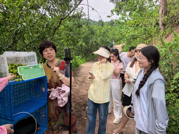 培育本土電商人才。重慶市供銷合作總社供圖