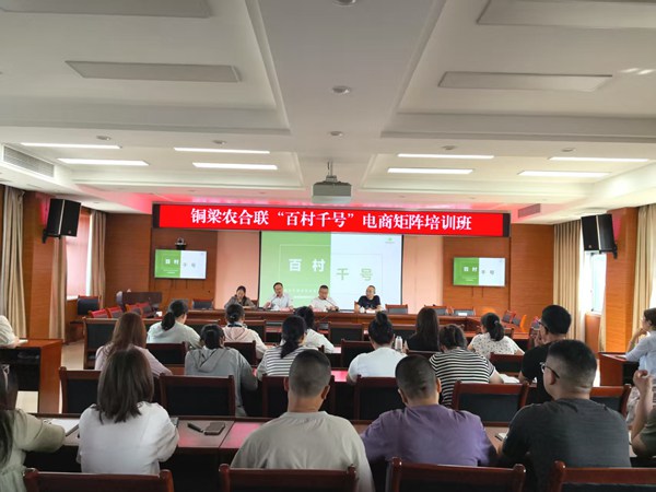 “百村千號”電商矩陣培訓班。重慶市供銷合作總社供圖