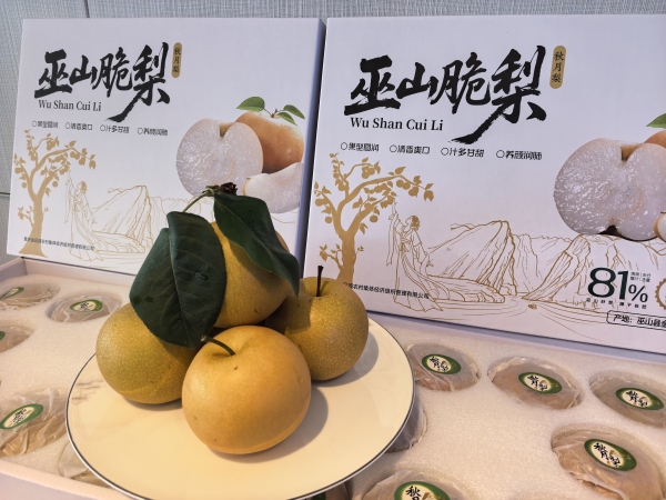 巫山脆梨。任峰攝