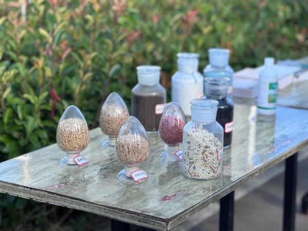 梁平糧油科技小院的選種展示。黃亞輝攝