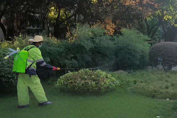 綠化帶等重點區(qū)域正在進(jìn)行消殺作業(yè)。杜科攝