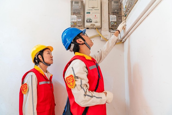 志愿者檢查電表。國網重慶永川供電公司供圖