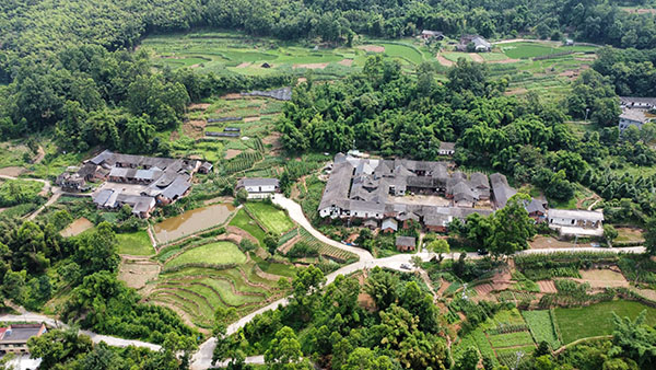 江津區(qū)中山鎮(zhèn)白鶴村白鶴林。重慶市住房城鄉(xiāng)建委供圖