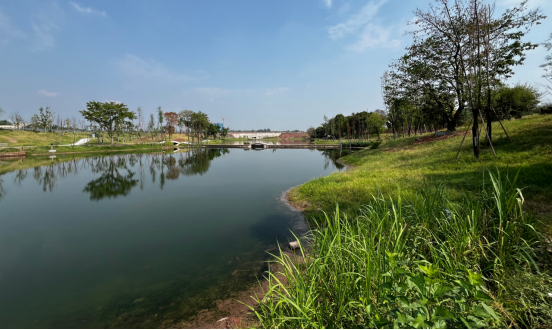 大溪河水系生態(tài)修復(fù)，重現(xiàn)水碧岸綠風(fēng)景美。巴福鎮(zhèn)供圖