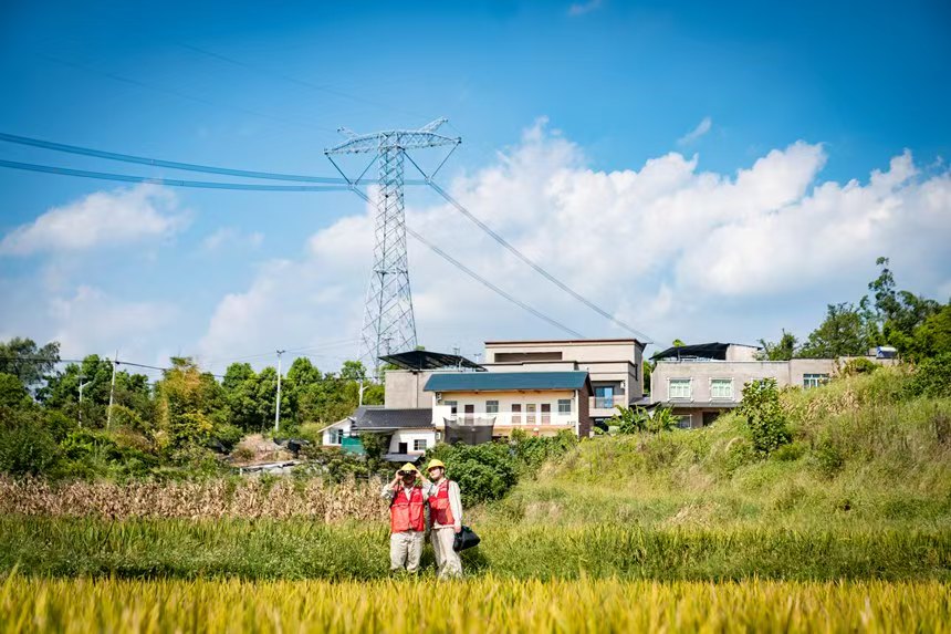 電力人員巡檢線路。國(guó)網(wǎng)永川供電公司供圖
