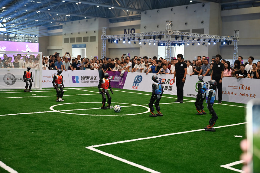 機(jī)器人足球比賽。鄒樂攝