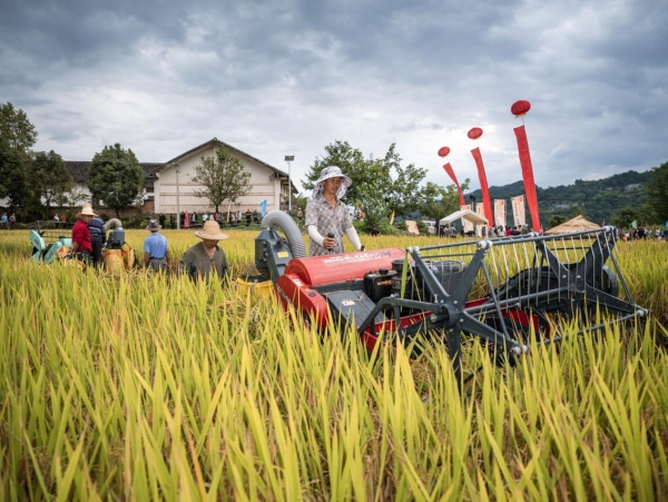 活動(dòng)現(xiàn)場(chǎng)。王傳貴攝
