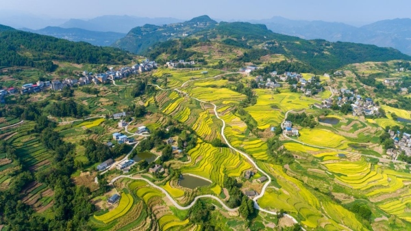 奉節(jié)鄉(xiāng)村美景。王傳貴攝