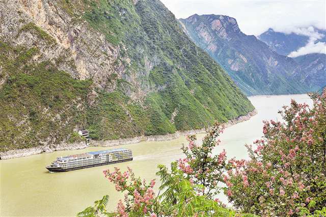 九月十三日，長(zhǎng)江三峽巫峽兩岸紫薇花盛放，與遠(yuǎn)山、近水、城市、橋梁等相映成景。船行其間，美如畫(huà)卷。特約攝影 王忠虎\視覺(jué)重慶