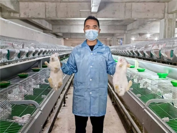 萬興村標(biāo)準(zhǔn)化兔場(chǎng)。羊市鎮(zhèn)供圖