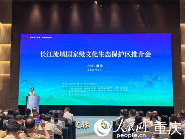 推介會現(xiàn)場。人民網(wǎng)記者 馮文彥攝