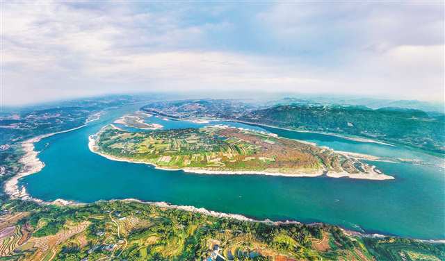 長江入渝第一島中壩島水域，成為多種優(yōu)質(zhì)名貴魚類的最適生境。（本報資料圖片）（重慶市珍稀特有魚類國家級自然保護區(qū)管理處供圖）