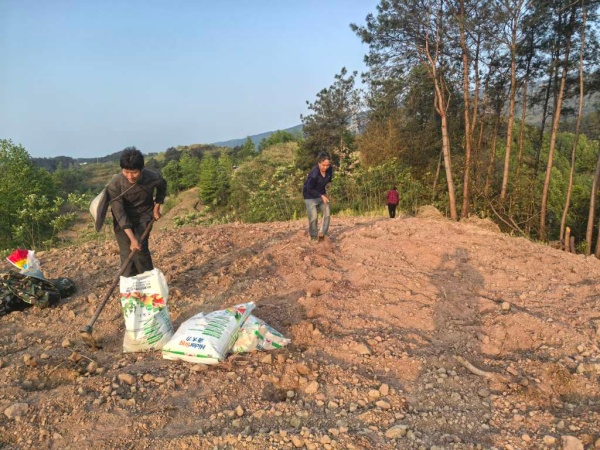 村民正在整治荒地。龔安鵬攝