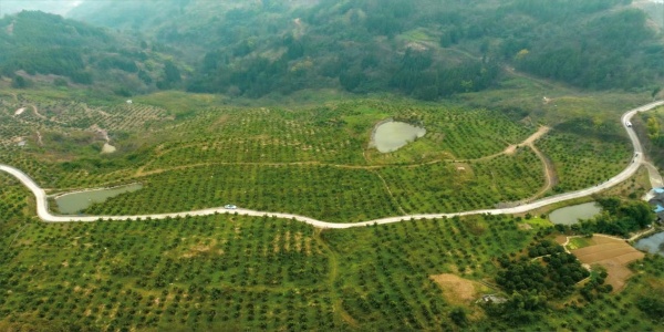 富民村新貌。受訪者供圖