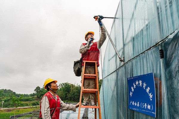 電力人員義務(wù)檢查大棚用電設(shè)備。國網(wǎng)永川供電公司供圖