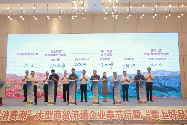 簽約儀式現(xiàn)場。主辦方供圖