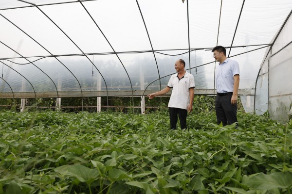 農(nóng)行工作人員到合作社了解情況。鄒雨璠攝