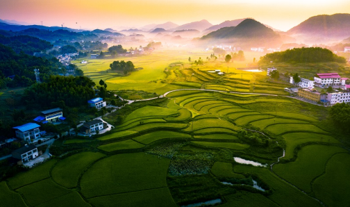 巴渝和美鄉(xiāng)村，一片豐收景象。重慶市農(nóng)業(yè)農(nóng)村委供圖