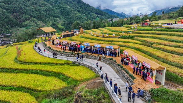 城口縣2025年中國農(nóng)民豐收節(jié)在高觀鎮(zhèn)舉行。唐小江攝