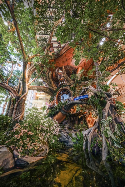 “世界樹”實(shí)景圖。受訪者供圖