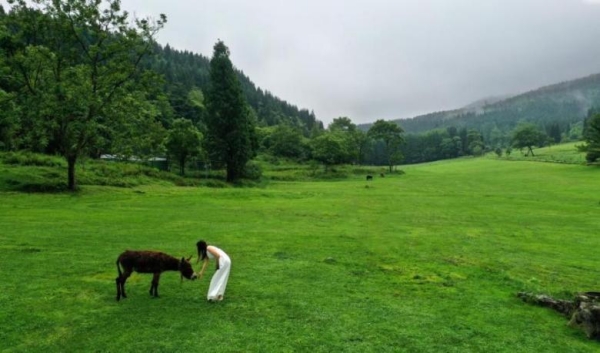武陵山國家森林公園。涪陵區(qū)融媒體中心供圖