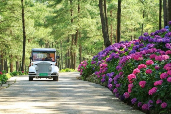 大木花谷·林下花園。涪陵區(qū)融媒體中心供圖