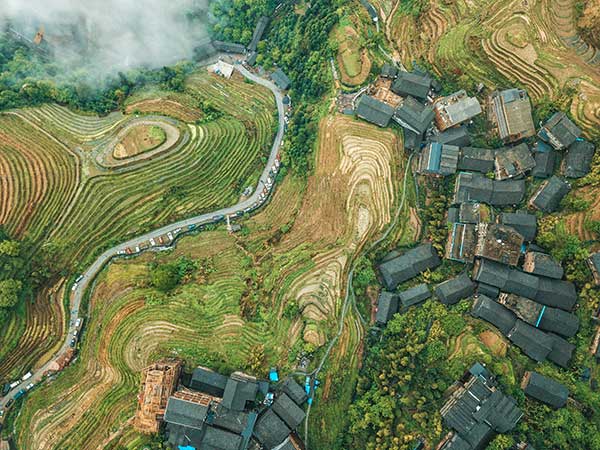 助力鄉(xiāng)村振興。廣發(fā)銀行重慶分行供圖