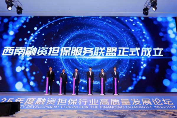 西南融資擔保服務聯(lián)盟成立儀式。重慶市融資擔保業(yè)協(xié)會供圖