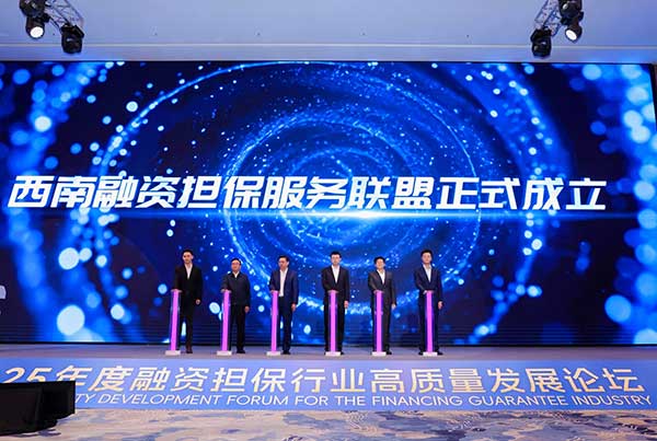 西南融資擔保服務聯(lián)盟成立。重慶市委金融辦供圖