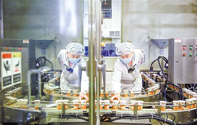 天友乳業(yè)生產(chǎn)車間，全自動利樂冠灌裝機前，工作人員在查看產(chǎn)品品質(zhì)。（資料圖片） 記者 萬難 攝視覺重慶