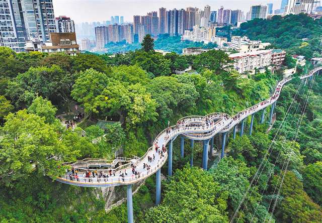 圖為11月12日，重慶半山崖線鵝嶺棧橋，眾多市民在打卡觀景（無人機照片）。 記者 鄭宇 攝/視覺重慶