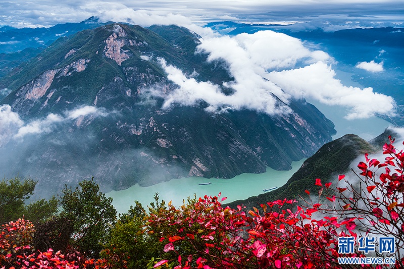 紅葉映著碧綠江水，船行其間，山水相映成畫。新華網(wǎng)發(fā)（王思政 攝）