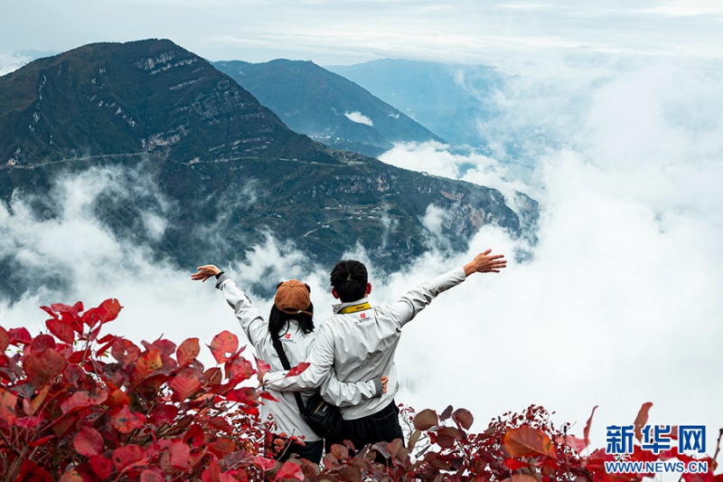 游客沉醉于巫山紅葉美景。新華網(wǎng)發(fā)（簡(jiǎn)毅 攝）