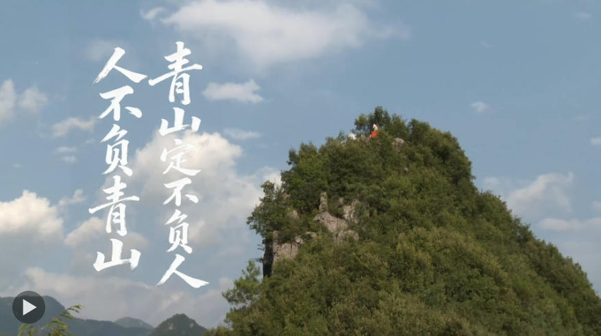 崖柏重生，生生不息