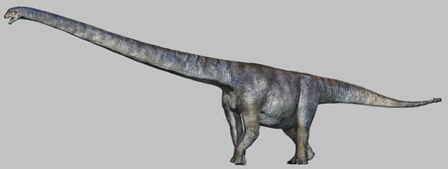 三江馬門溪龍復(fù)原圖。重慶市規(guī)劃和自然資源局供圖