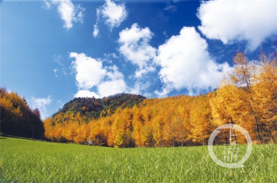 675a444c098d6765c48ea9100a58a664.jpg 重慶巫溪紅池壩(6078196)-20210321160947.jpg