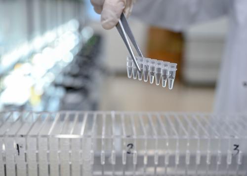 近日，位于兩江新區(qū)的中科計算技術(shù)西部研究院，實驗人員將調(diào)配有化學(xué)試劑如同“打印紙”的微量離心管放入“畢昇一號”樣機。記者 張錦輝 攝/視覺重慶