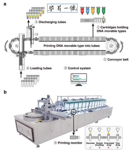 “畢昇一號”全自動的DNA活字存儲噴墨打印機示意圖。西研院供圖