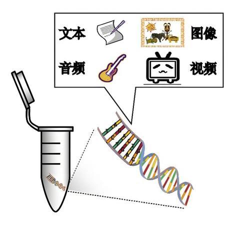 DNA數(shù)據(jù)存儲技術(shù)示意圖。西研院供圖