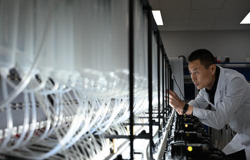 近日，位于兩江新區(qū)的中科計算技術(shù)西部研究院，西研院科研人員楊東鑫正在關(guān)注DNA活字存儲噴墨打印機打印過程。記者 張錦輝 攝/視覺重慶